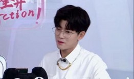 任嘉伦个人直播爆料视频,个人生活与演艺事业幕后故事大公开