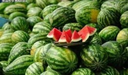 吃瓜网站都是免费的吗,吃瓜网站免费背后的真相与陷阱